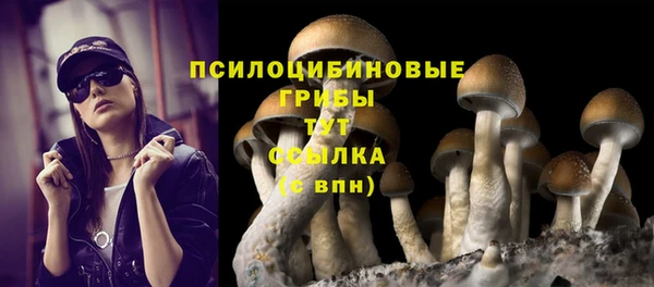 ПСИЛОЦИБИНОВЫЕ ГРИБЫ Арсеньев