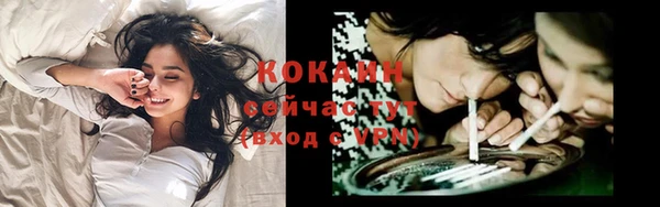 ПСИЛОЦИБИНОВЫЕ ГРИБЫ Арсеньев