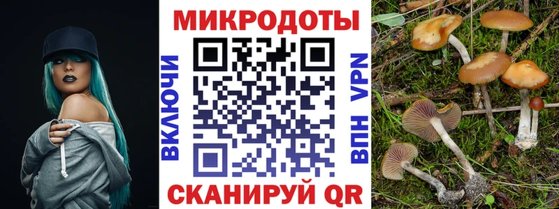 Галлюциногенные грибы Psilocybine cubensis как найти наркотики Липки
